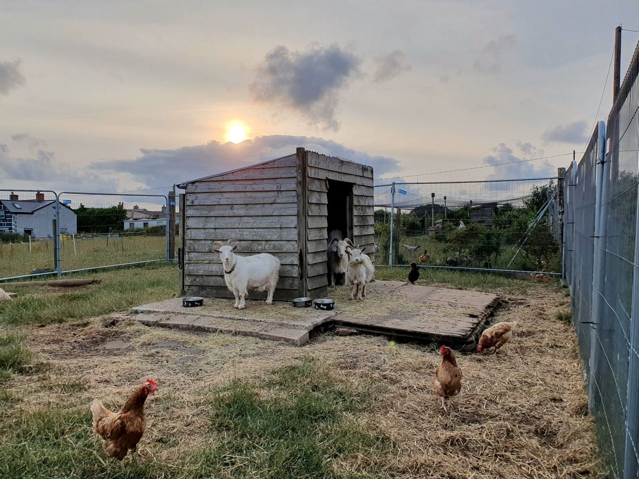 Bowling Green Farm Campsite