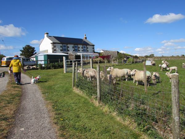 Bowling Green Farm Campsite