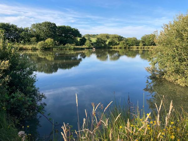 Brackenwood Glamping