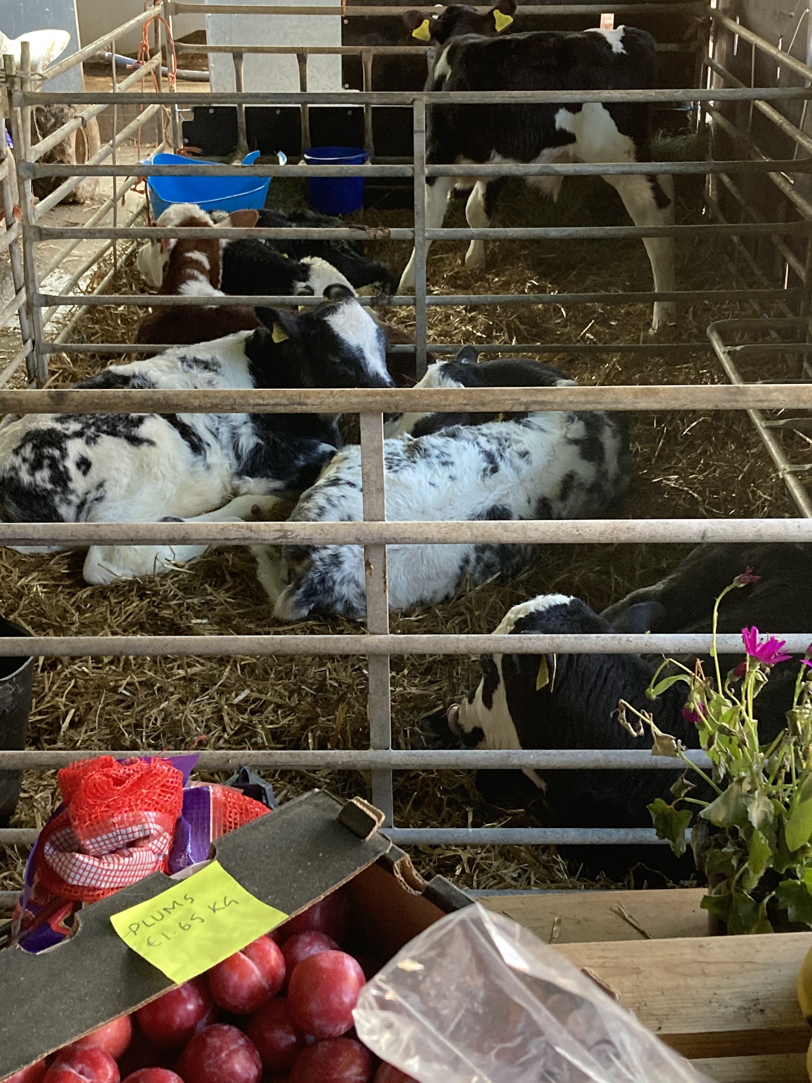 Bradshaw Farm