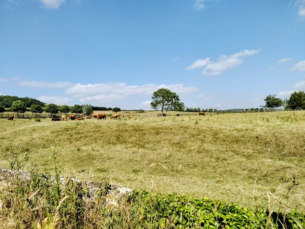 Bredy Farm