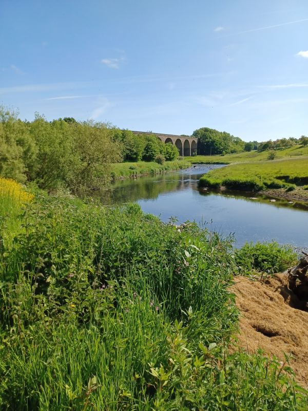 Bridge Heywood Caravan Park