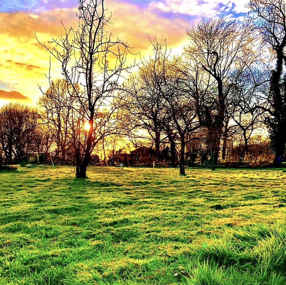 Brigham Park Farm