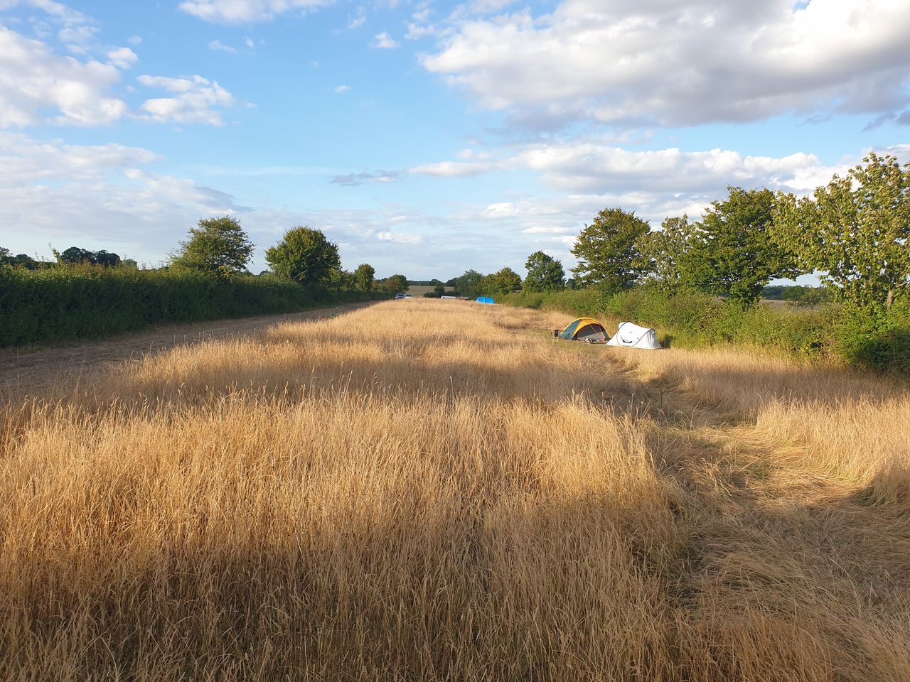 Brights Farm Camping