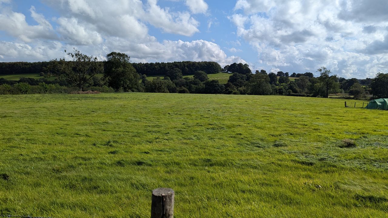 Brook Farm