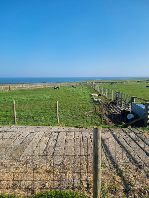 Brook House Farm