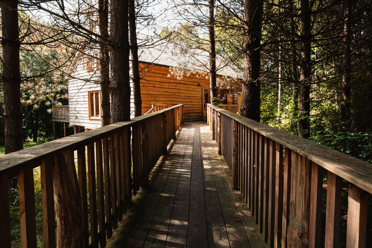 Brook House Woods