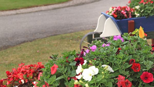 Brora Club Campsite
