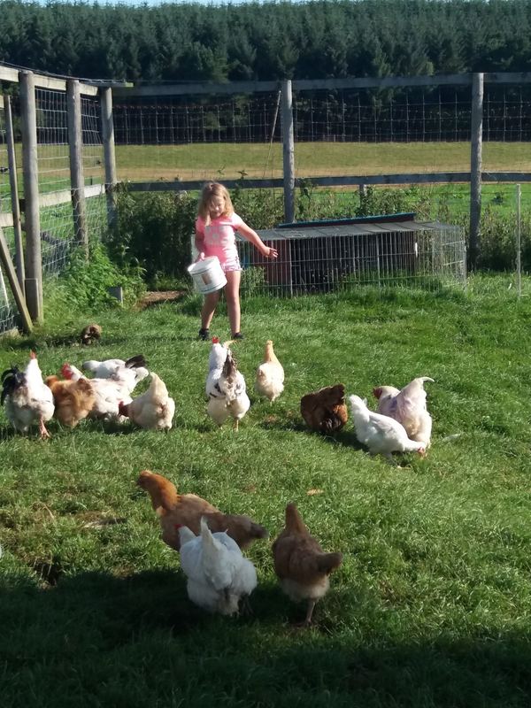 Brown Moor Farm
