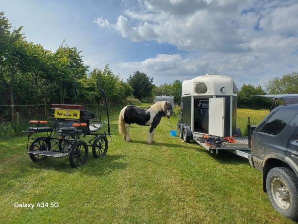 Bryngafel Campsite