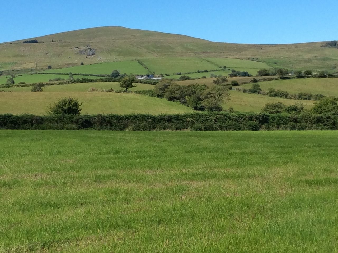 Brynhaul Camping and Shepherds Huts