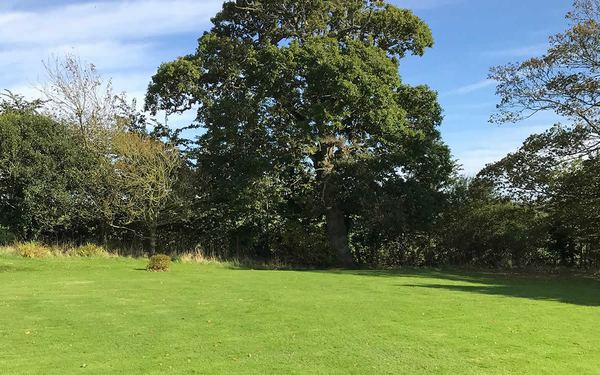 Buckland Campsite