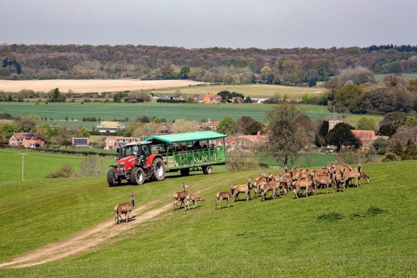 Bucklebury Farm & Deer Safari Park