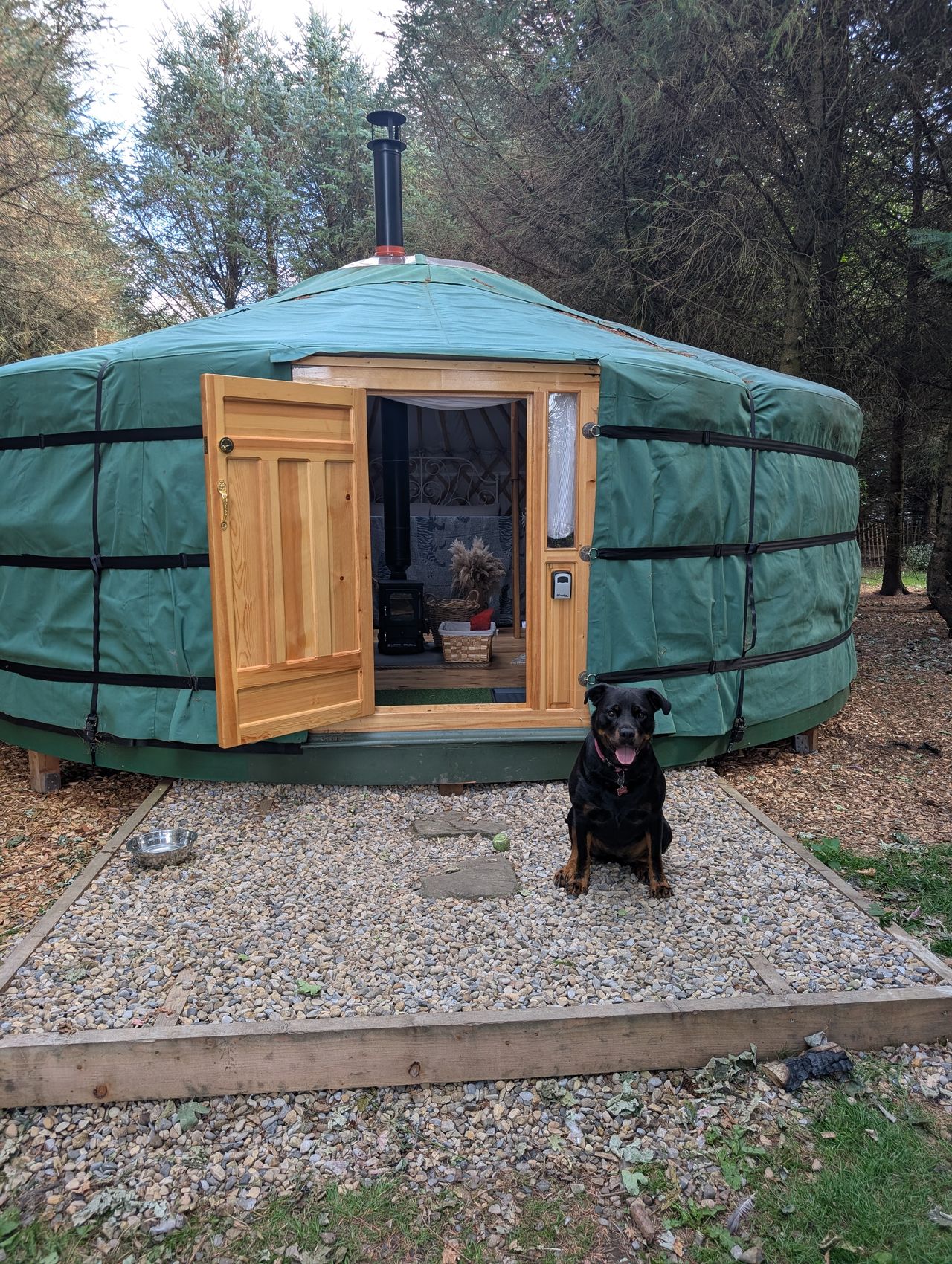 Burnfoot Woodland Yurts