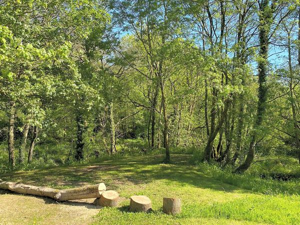 Buttercombe Meadow Campsite