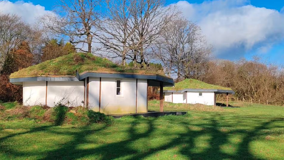 Buzzard's Nest Glamping