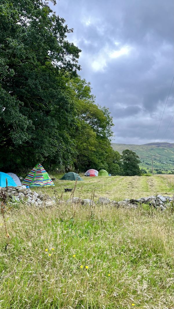 Cae Llwyd Farm