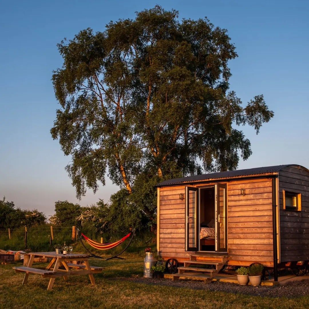 Cae Main Shepherds Hut