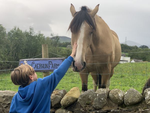 Caerhun Farm