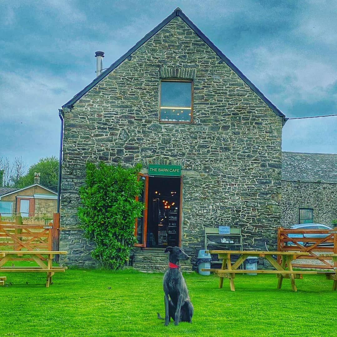 Caffyns Farm Exmoor Coast Holidays