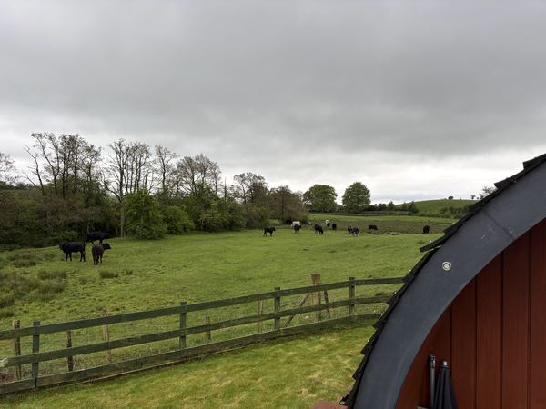 Cairndale Caravan Park