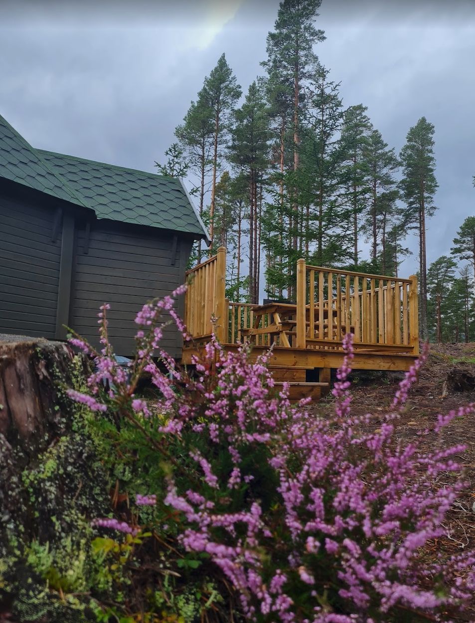 Cairngorm Bothies