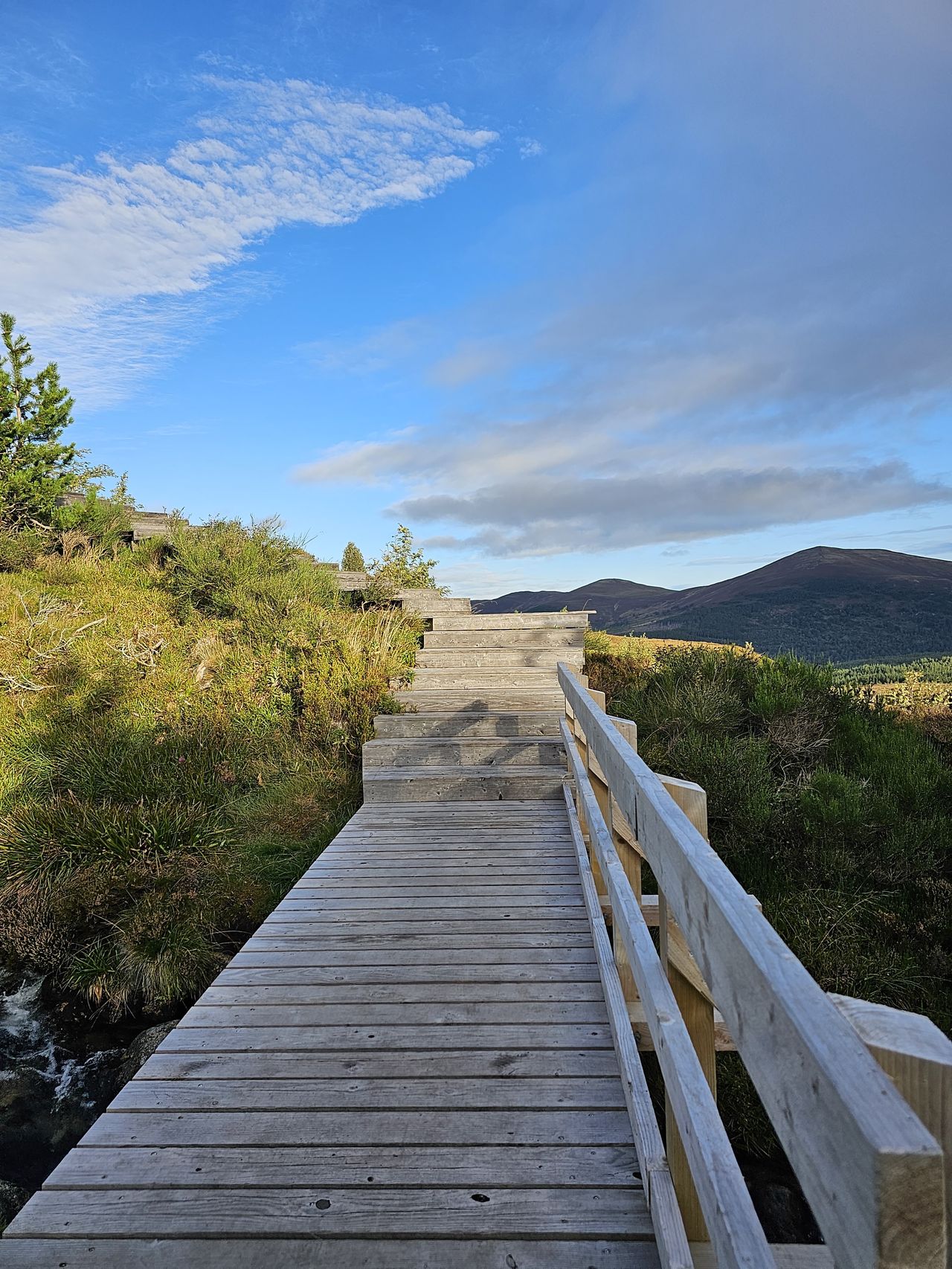 Cairngorm Motorhome Site