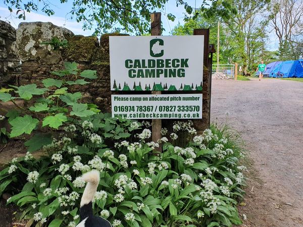 Caldbeck Camping