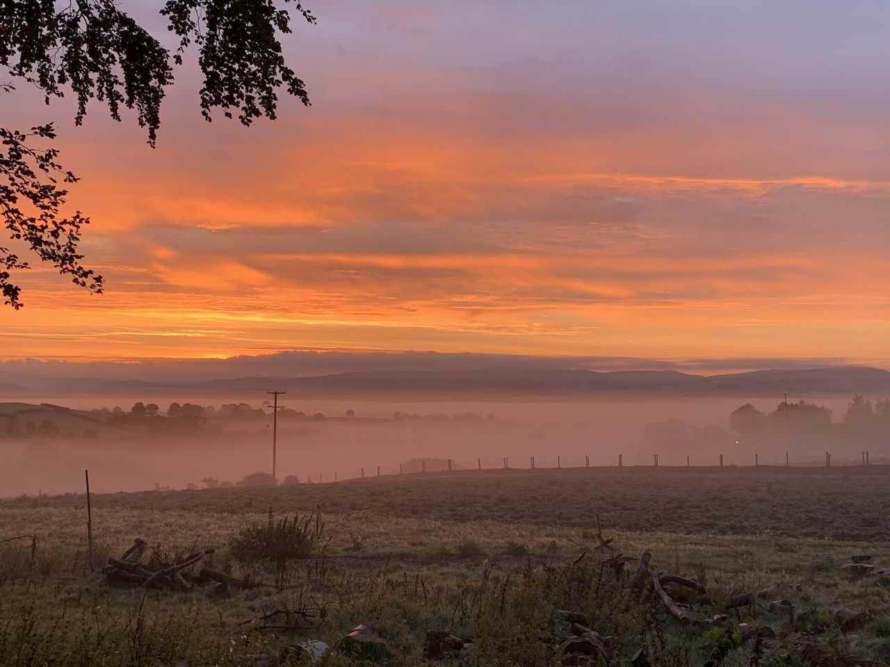 Cambrian View Farm
