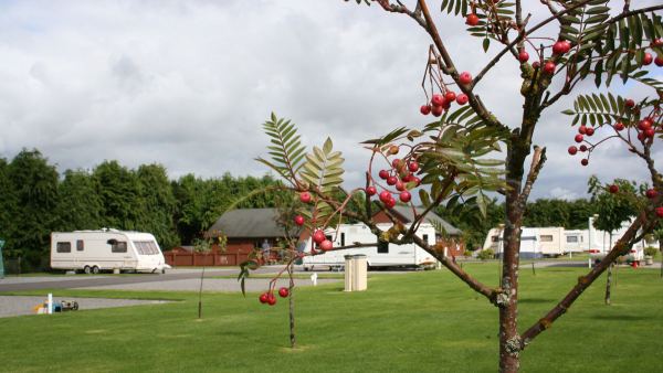 Campfield Caravan Site