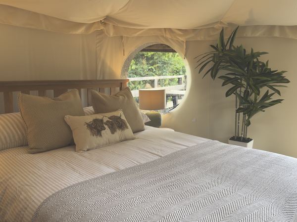 Camping In Llanberis Campsite and Glamping Yurts