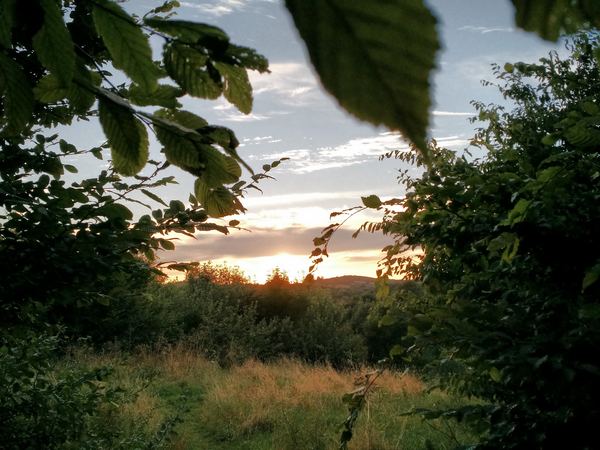 Camping in Nature at Vallis Veg