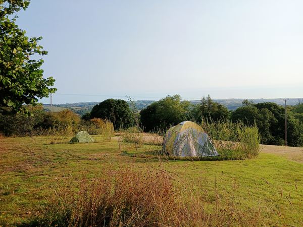Camping Untamed
