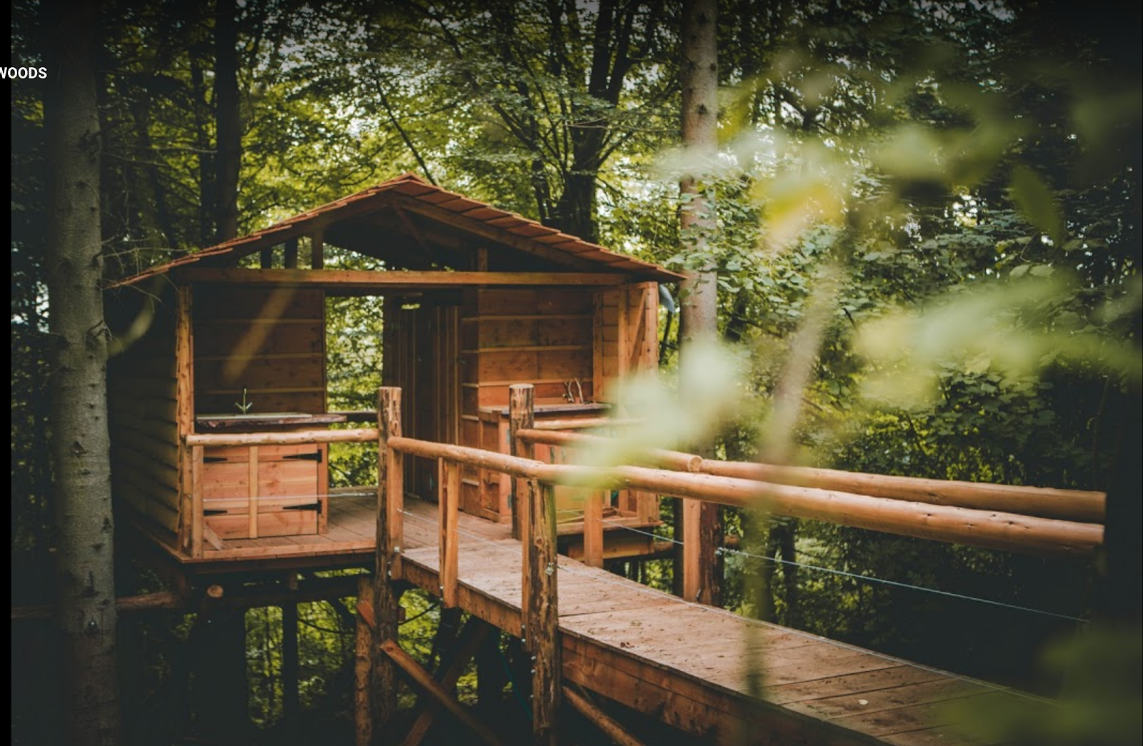 Campwell Woods