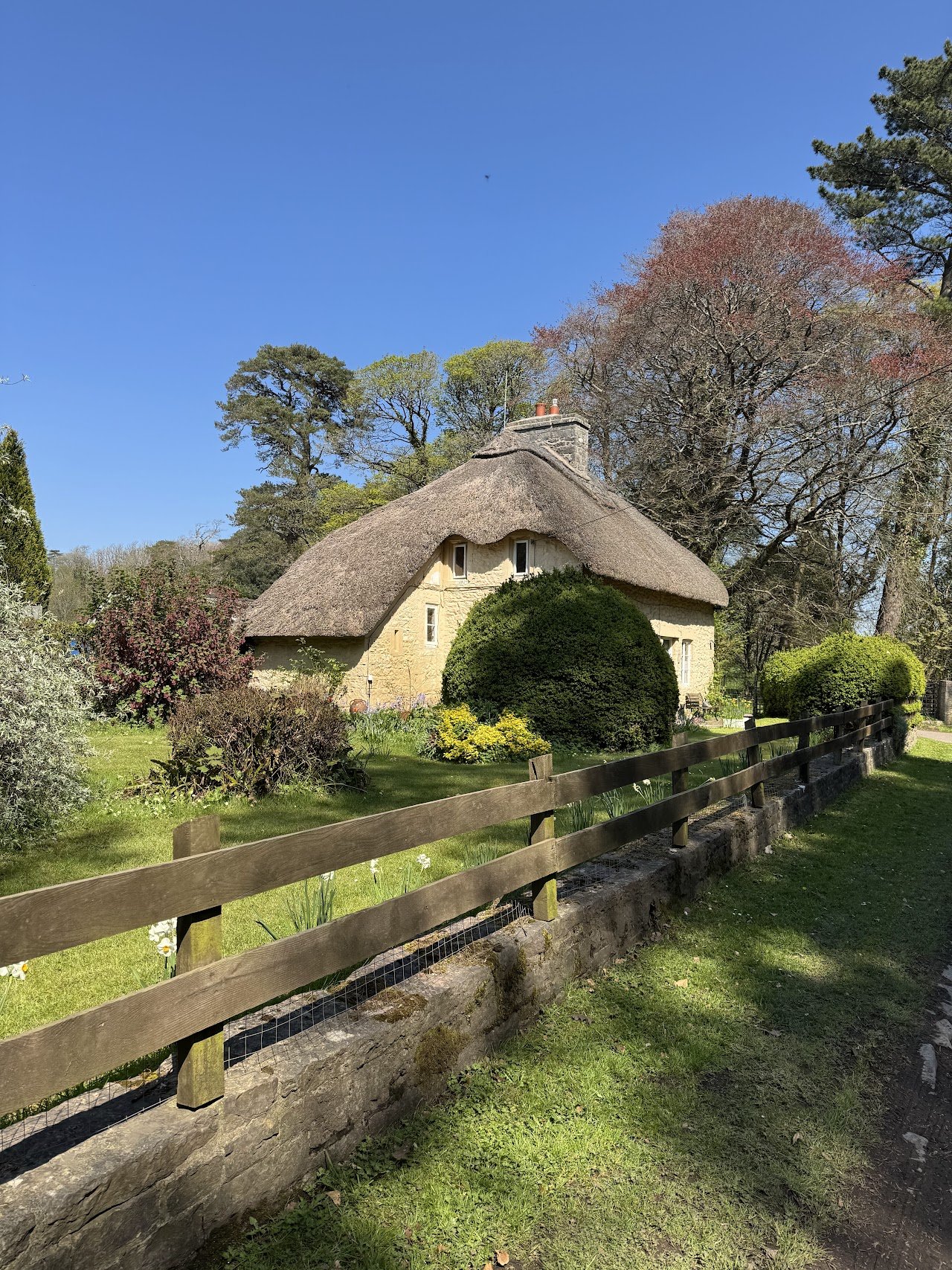 Candleston Woods