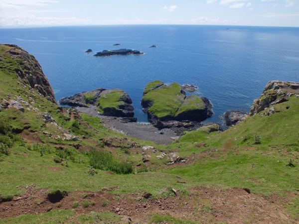 Canna Campsite
