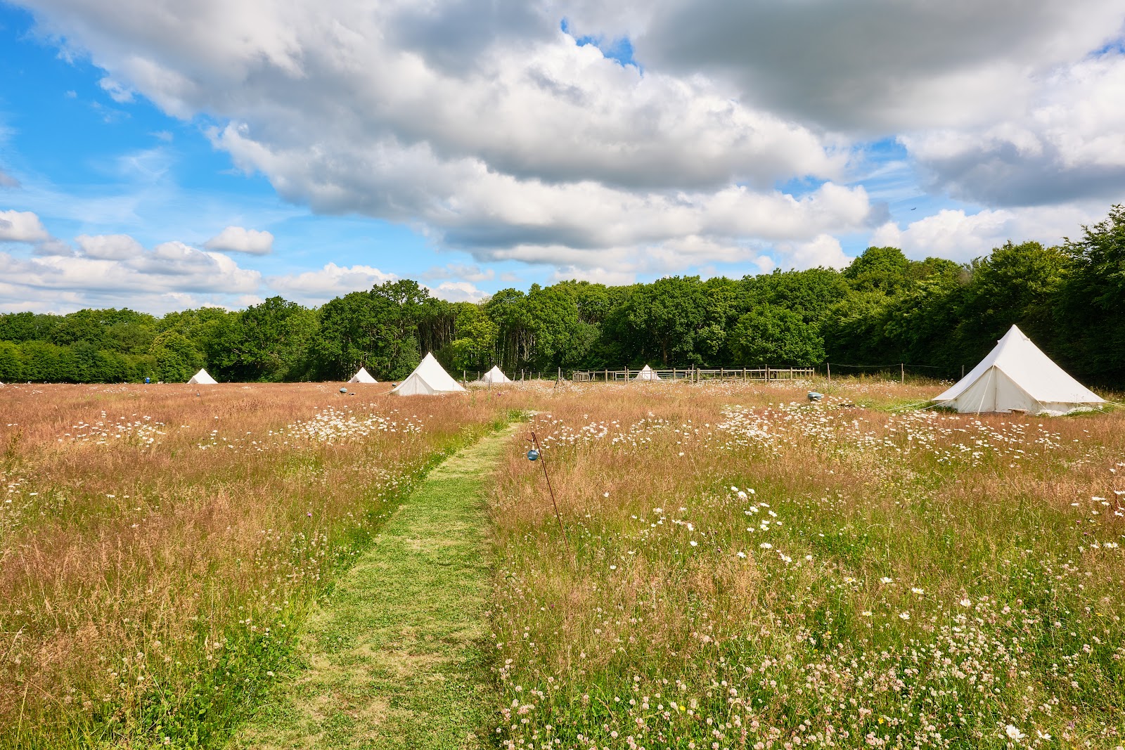 Caracol Glamping