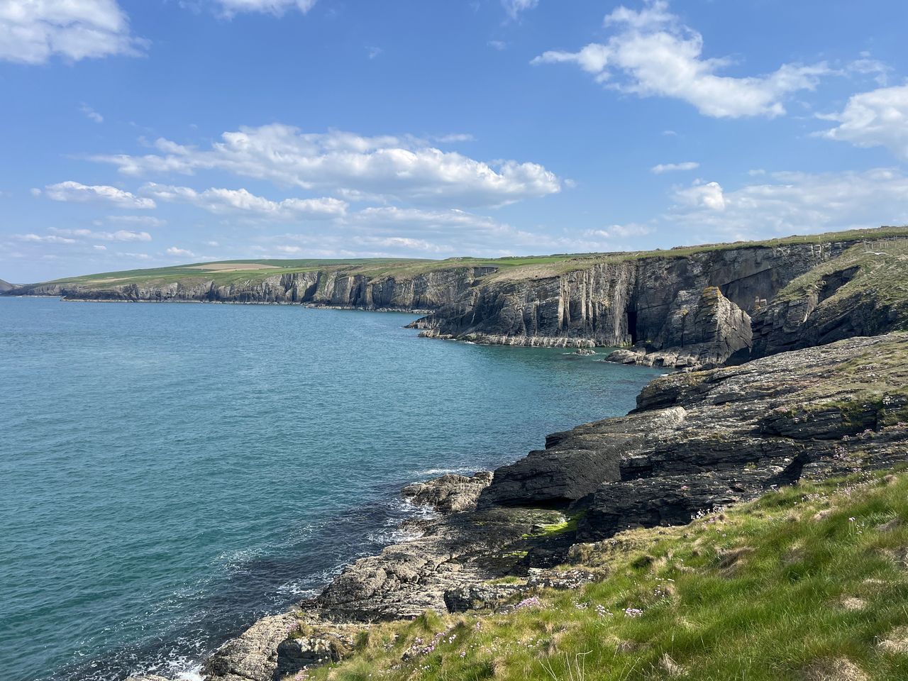 Cardigan Island Coastal Farm Park