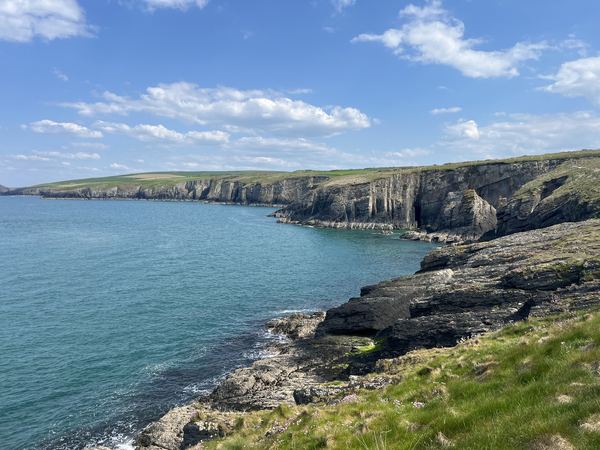 Cardigan Island Coastal Farm Park