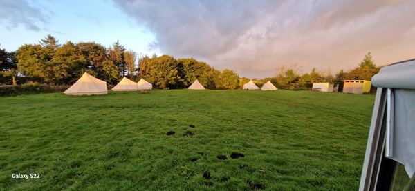 Carthvean Yule Tree Farm