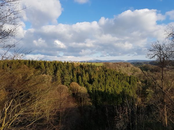 Cartland Craig's