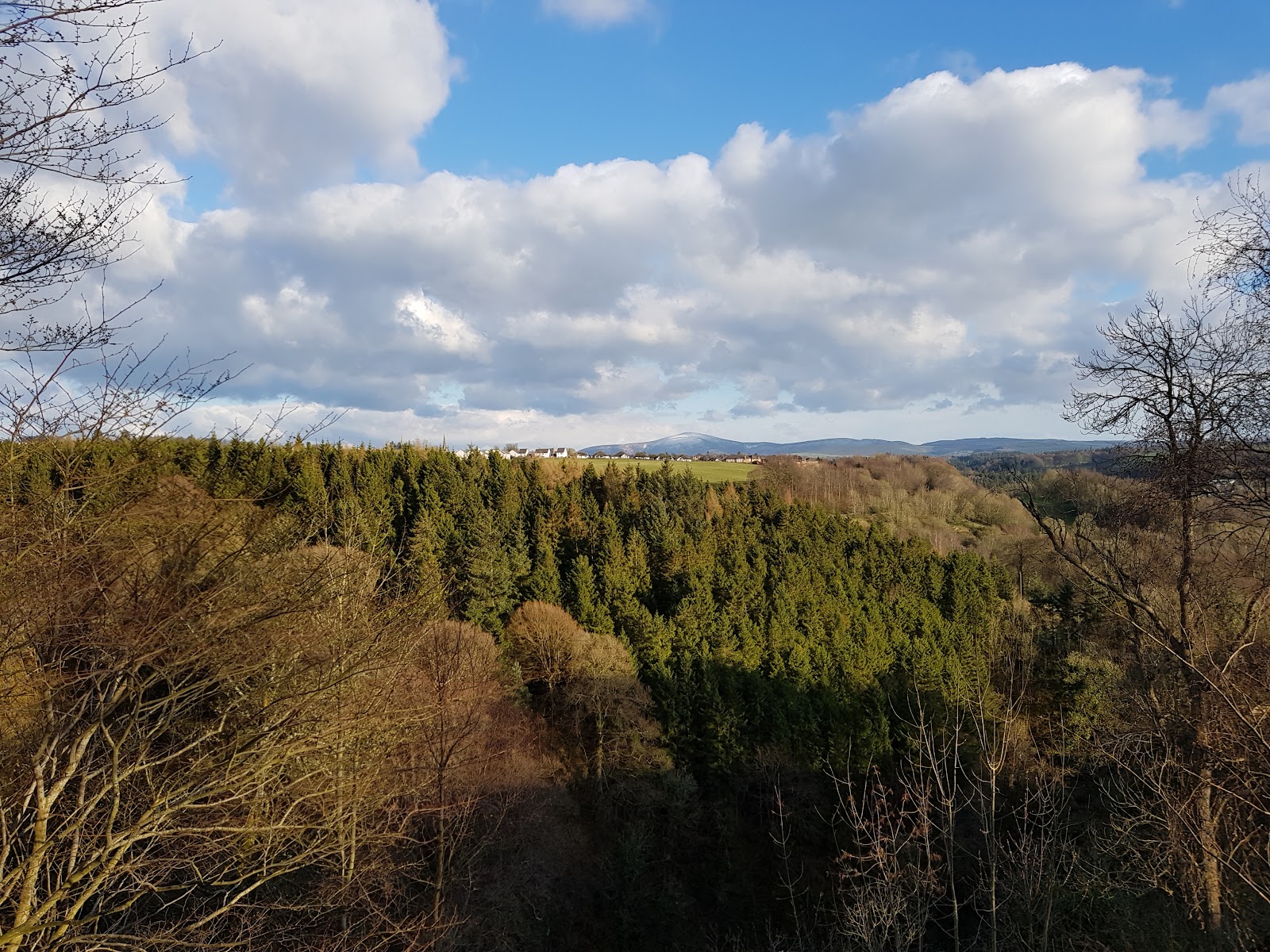 Cartland Craig's