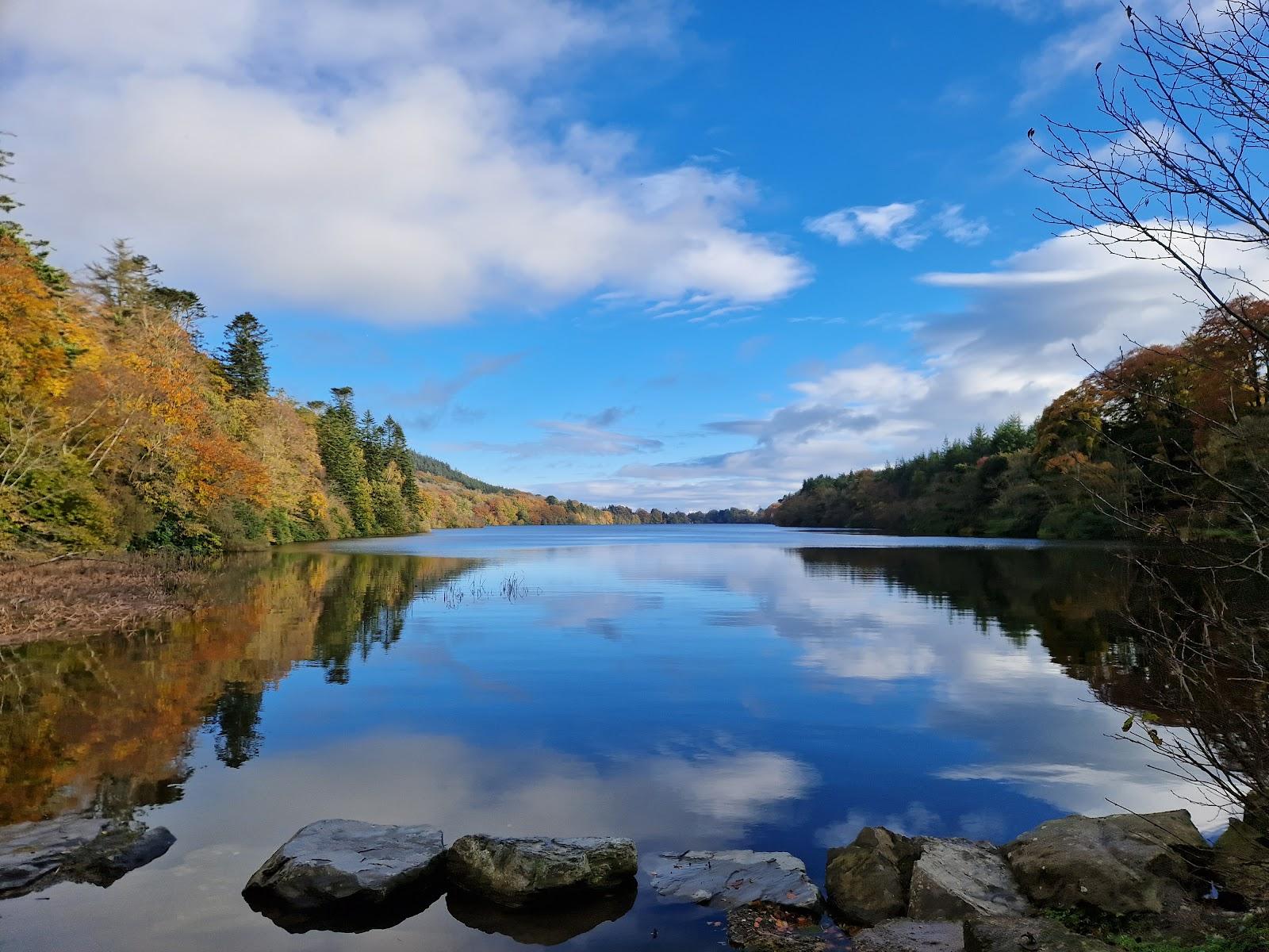 Castlewellan Forest Park Caravan Site