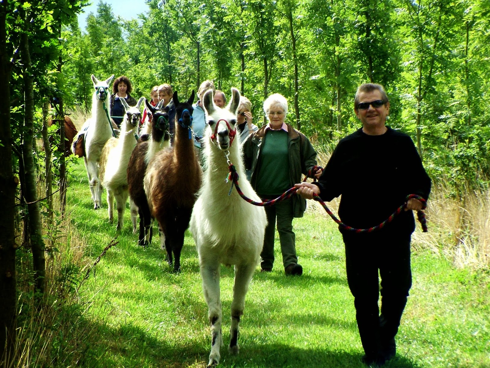 Catanger Llama Farm