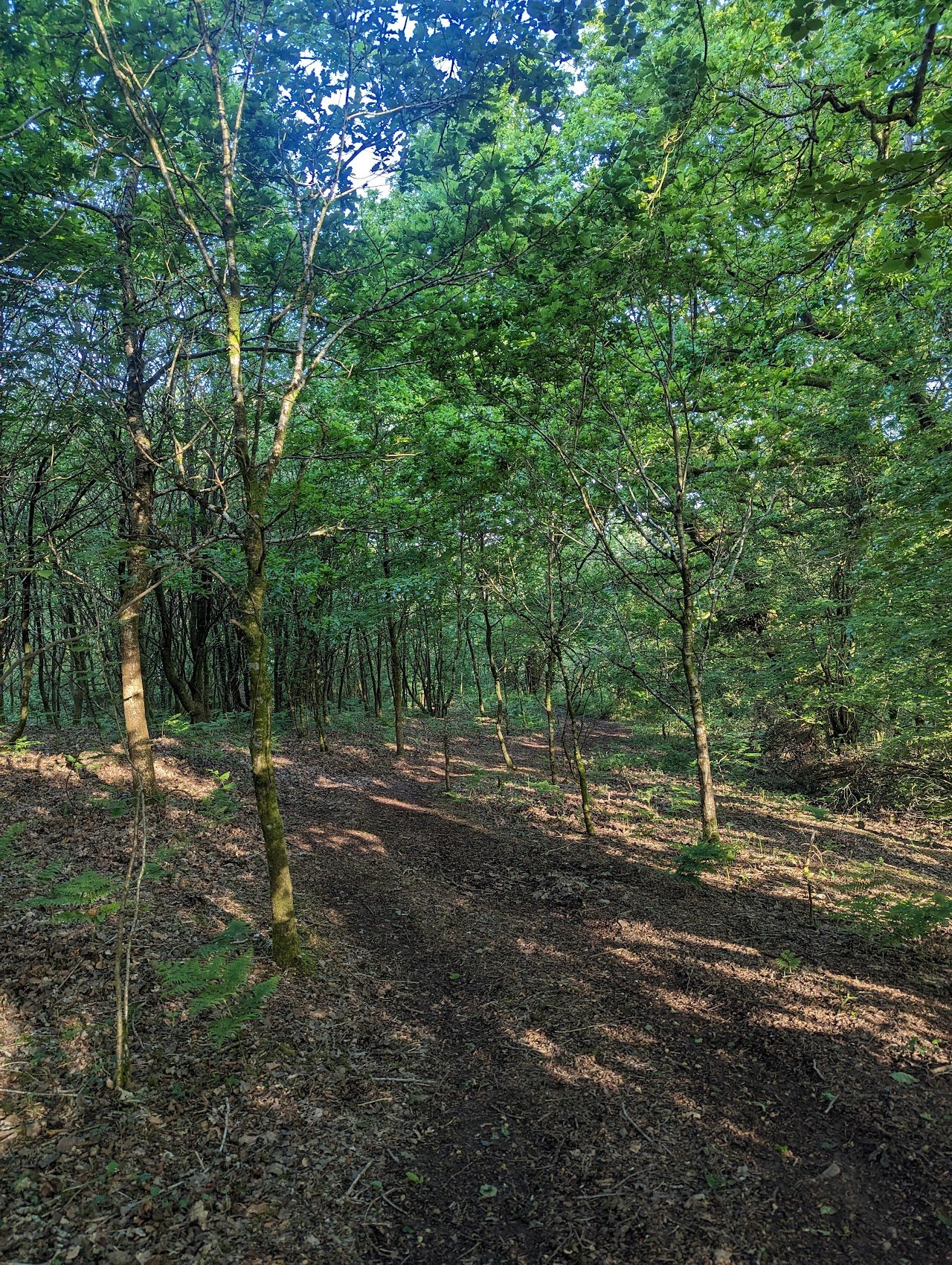 Cefn Blaidd Wild Camping