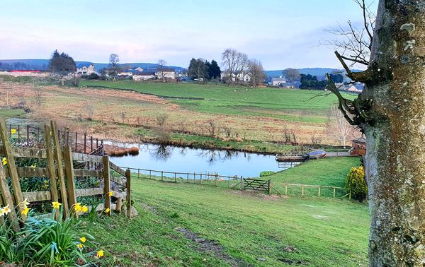 Cerrig Drudion
