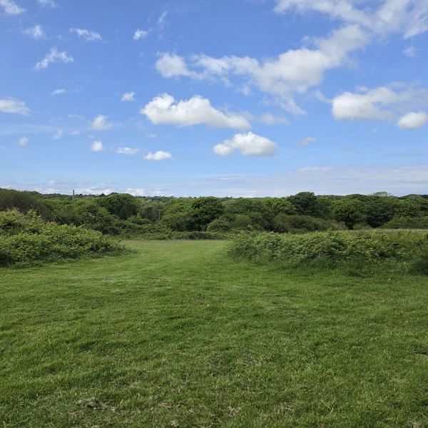 Chacewater Park