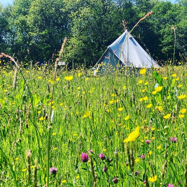Chapel House Farm Campsite
