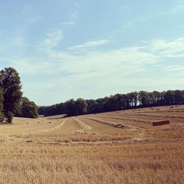 Charisworth Farm