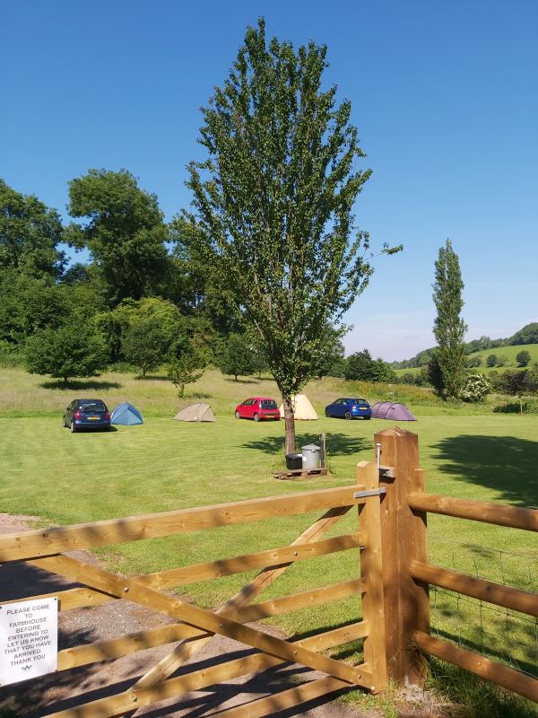 Cherry Orchard Farm